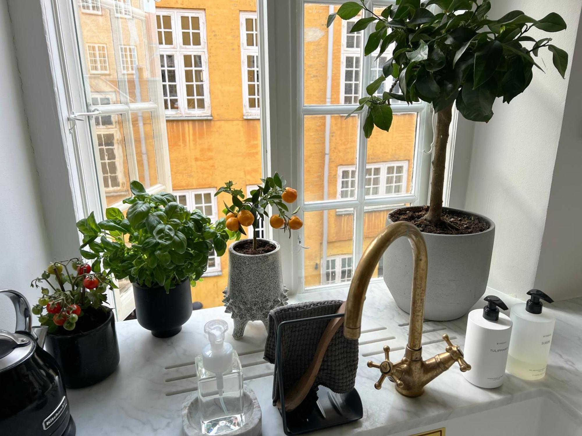 Apartamento Luxury 'Kings Garden View' 260M2 Prime Located Flat Copenhague Exterior foto